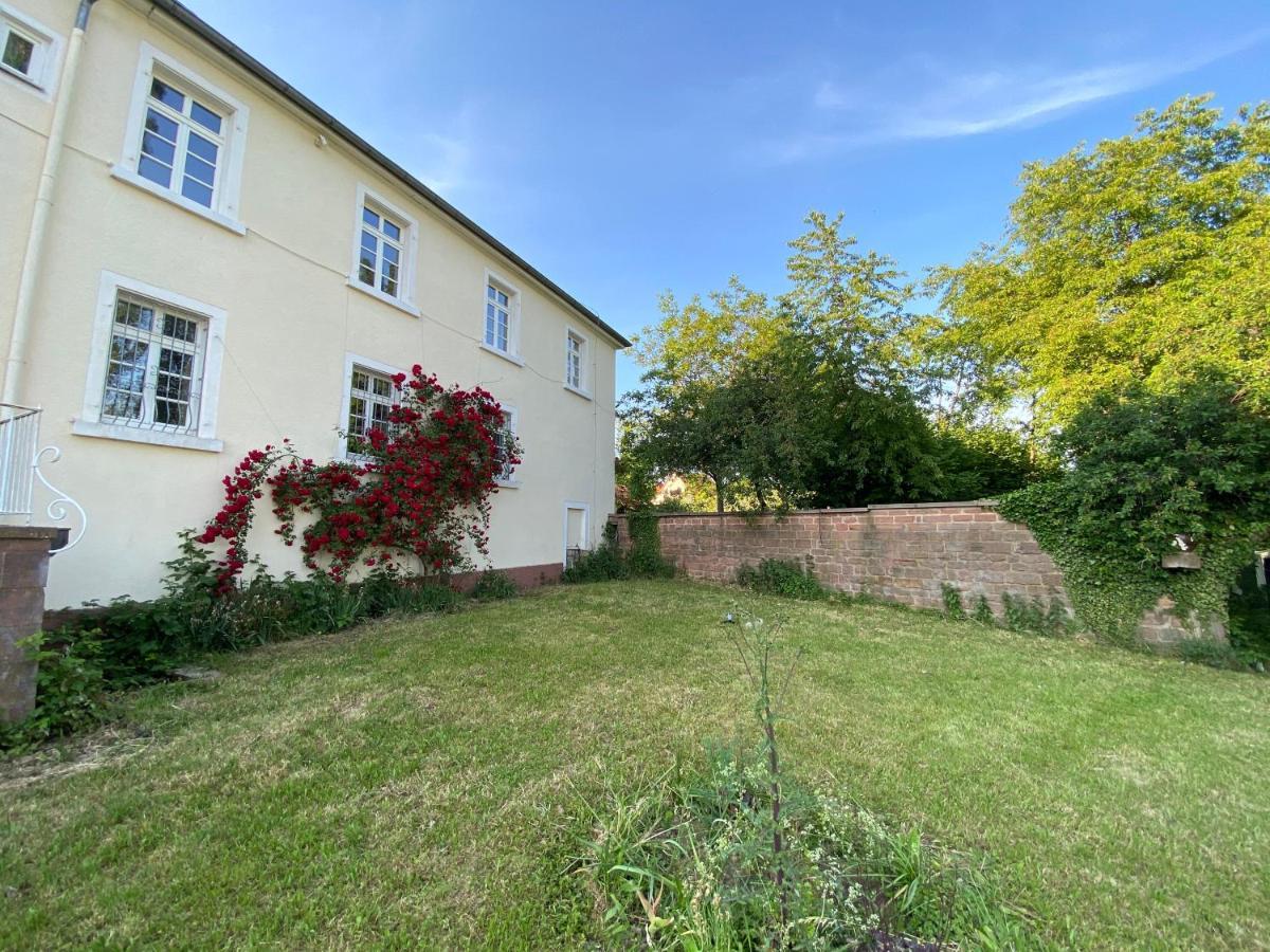 Schloss Hainfeld Εξωτερικό φωτογραφία